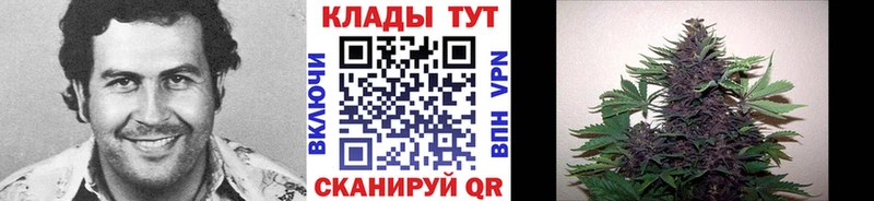 Псилоцибиновые грибы Ермолино