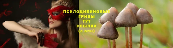 дмт Волосово